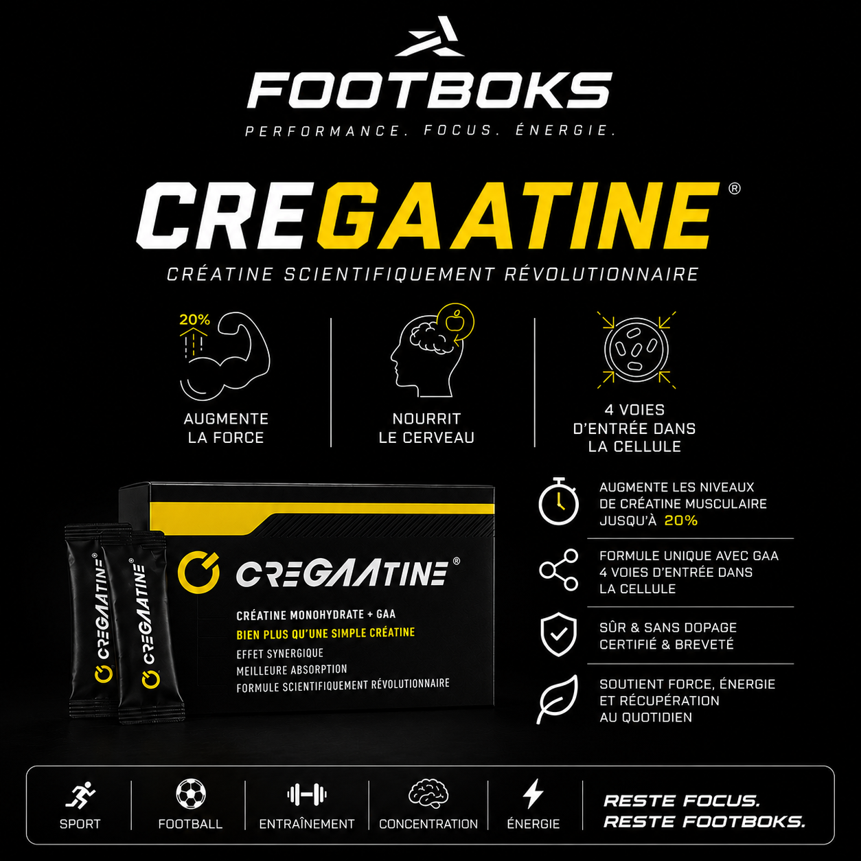 Cregaatine - Creatine nouvelle generation
