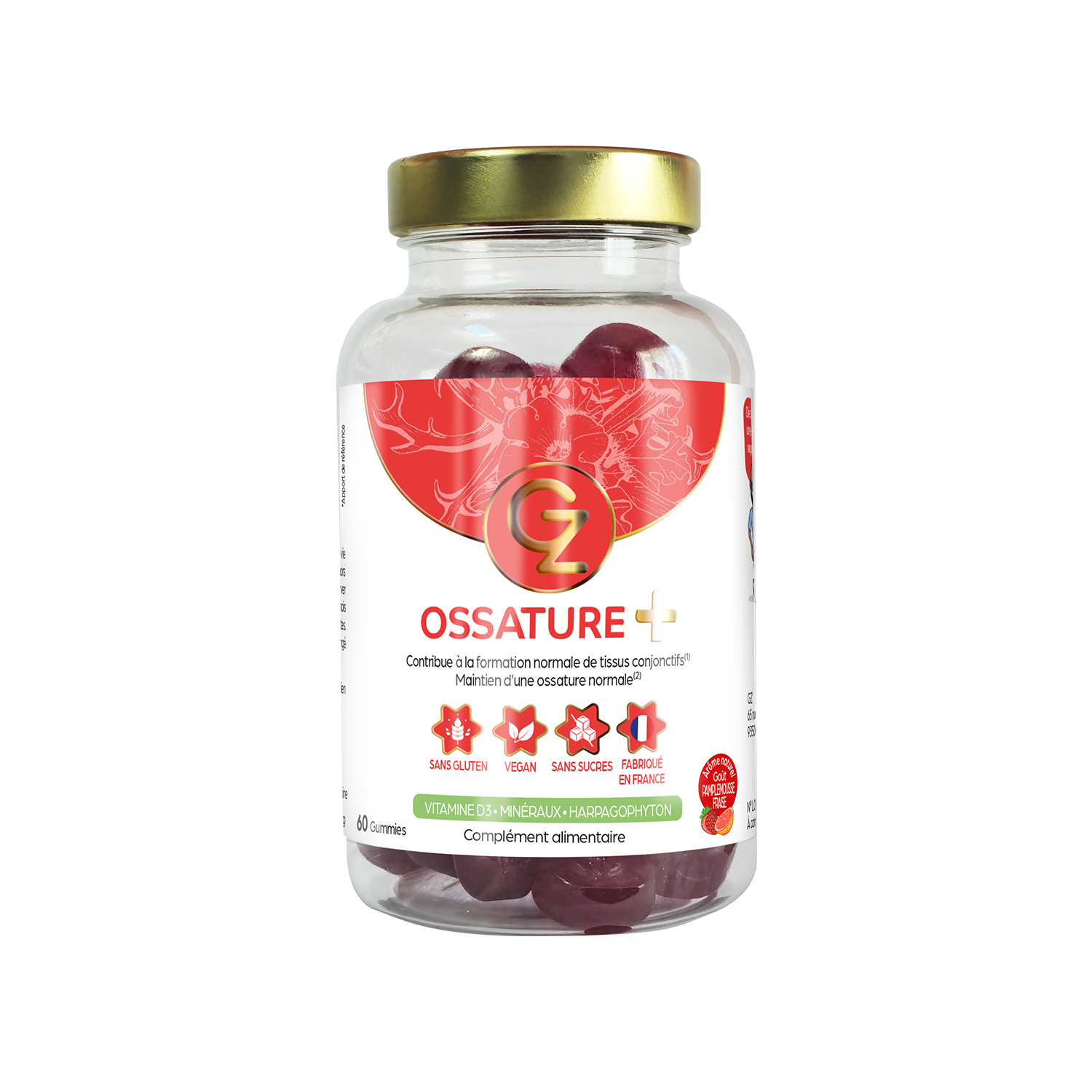 Ossature + - Gummies pour articulations & ossature